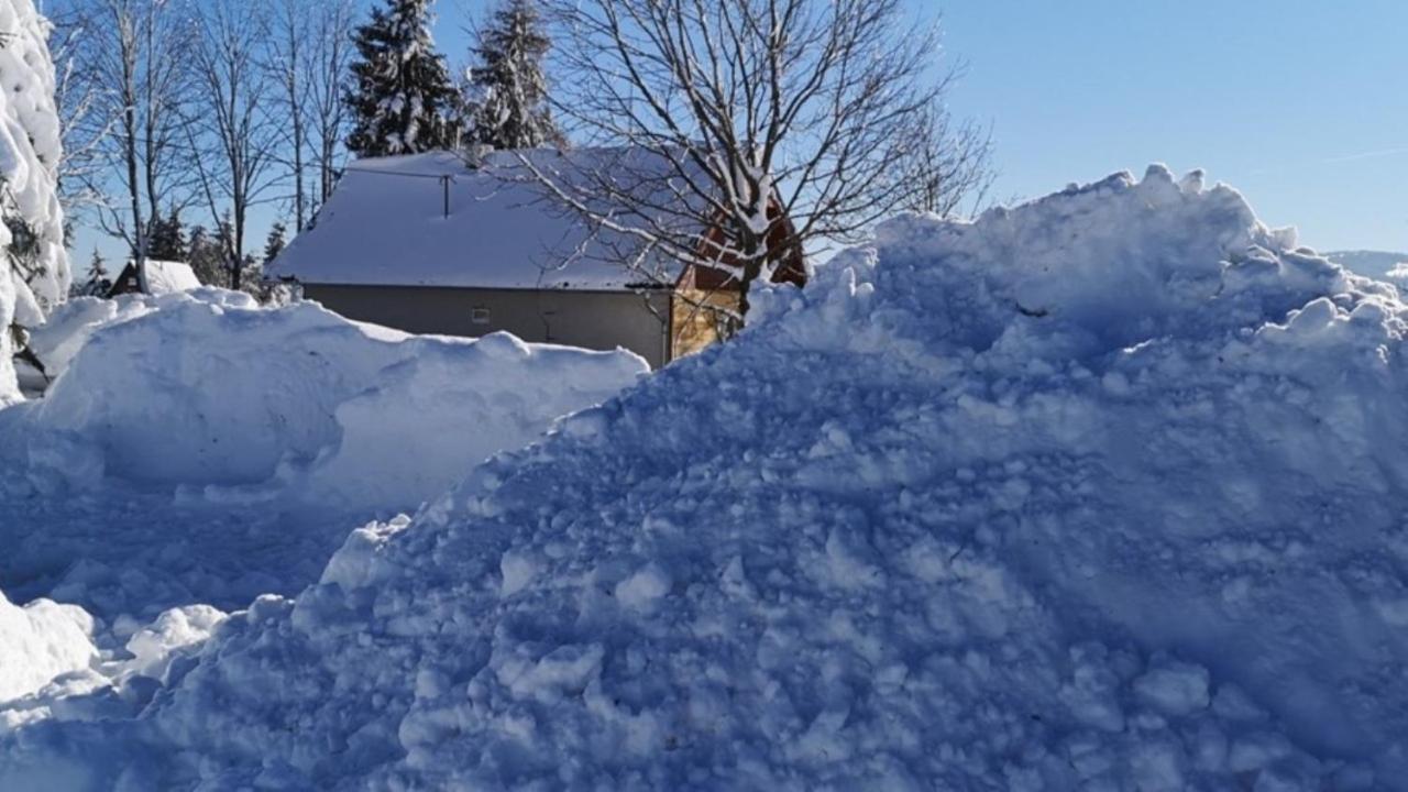 Oravská Lesná Chata Nad Lanovkou 아파트 외부 사진