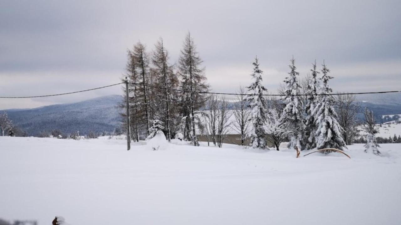 Oravská Lesná Chata Nad Lanovkou 아파트 외부 사진
