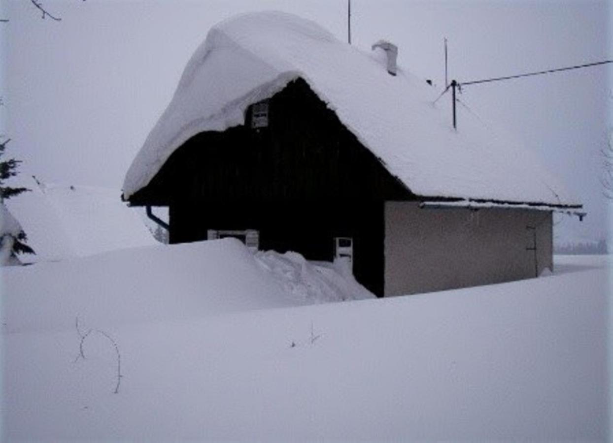 Oravská Lesná Chata Nad Lanovkou 아파트 외부 사진
