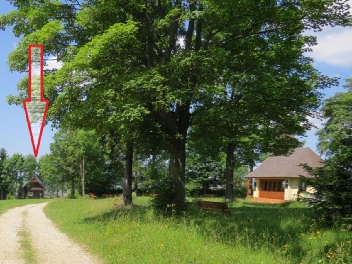 Oravská Lesná Chata Nad Lanovkou 아파트 외부 사진