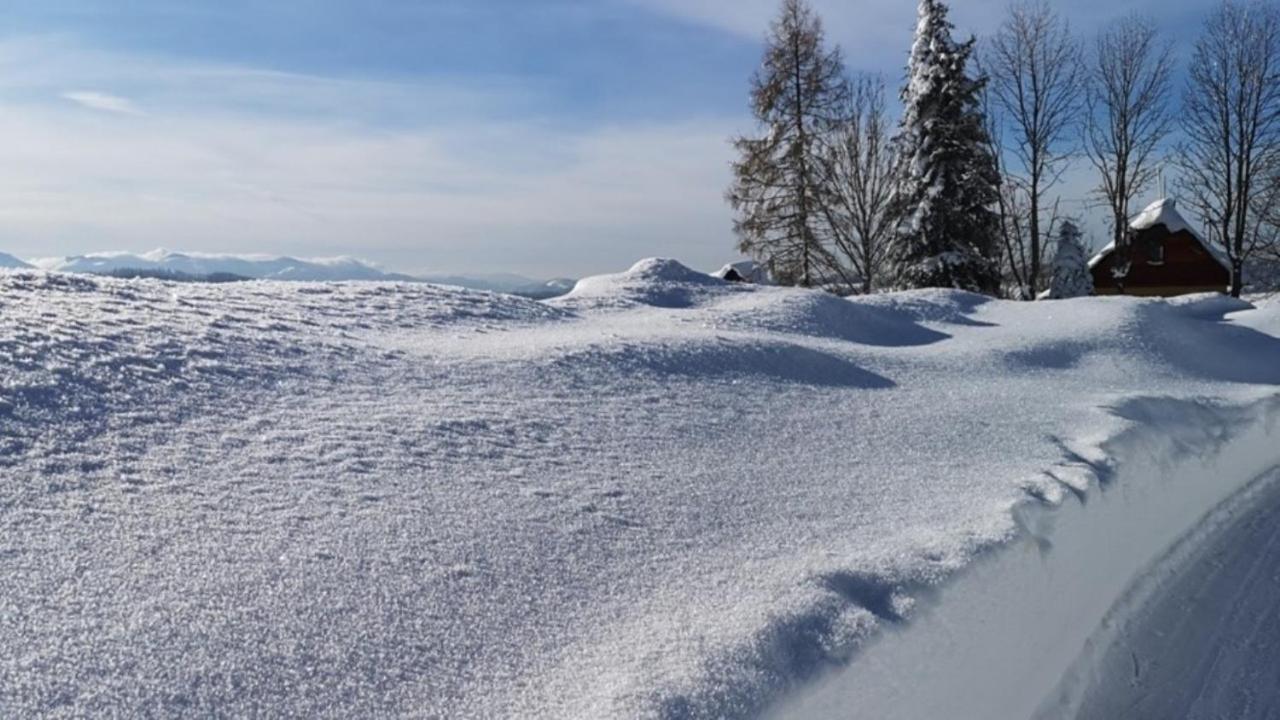 Oravská Lesná Chata Nad Lanovkou 아파트 외부 사진