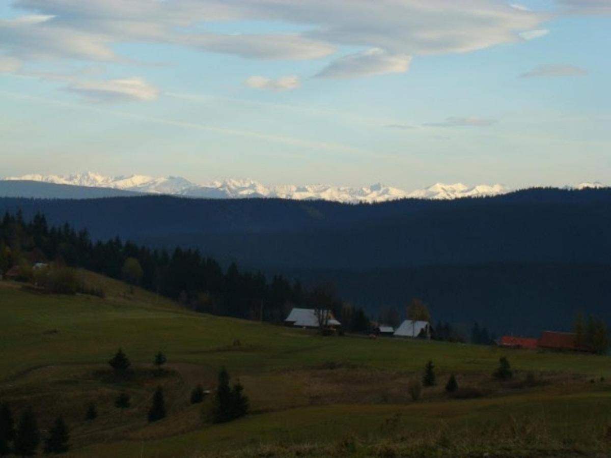 Oravská Lesná Chata Nad Lanovkou 아파트 외부 사진