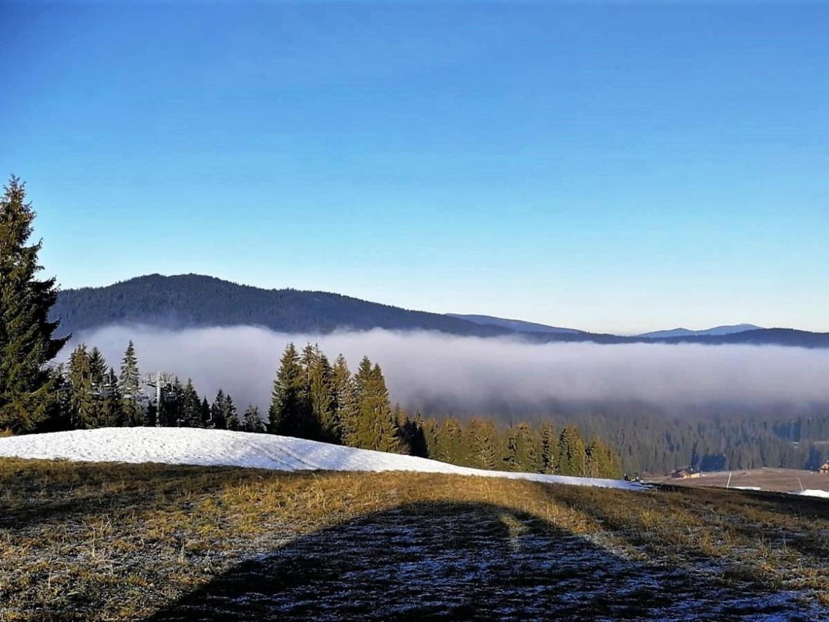 Oravská Lesná Chata Nad Lanovkou 아파트 외부 사진