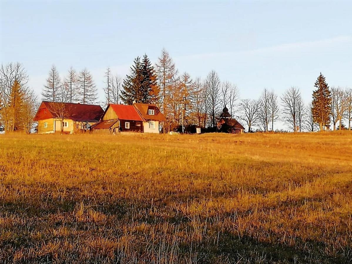 Oravská Lesná Chata Nad Lanovkou 아파트 외부 사진