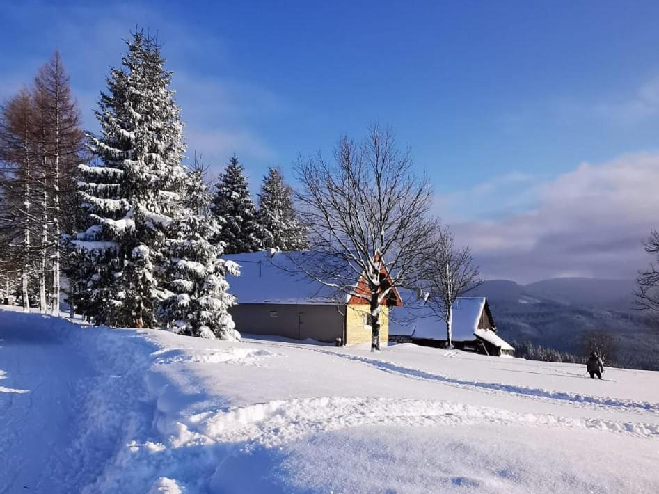 Oravská Lesná Chata Nad Lanovkou 아파트 외부 사진