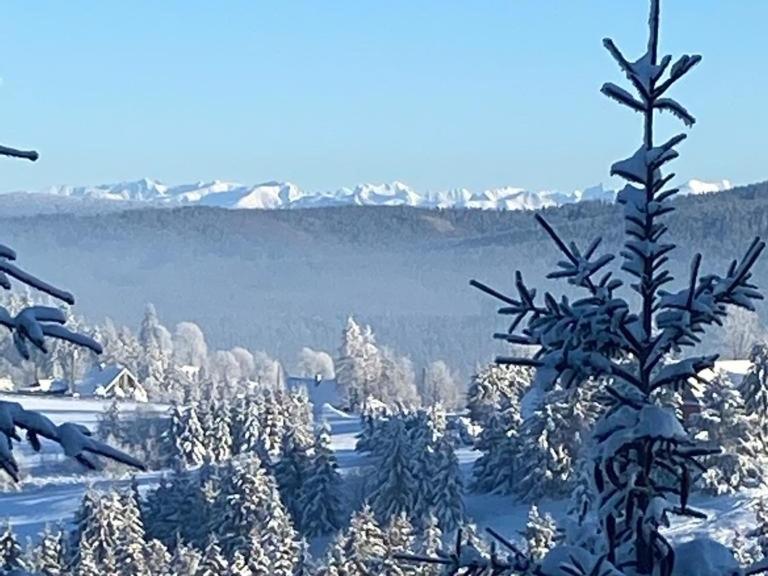 Oravská Lesná Chata Nad Lanovkou 아파트 외부 사진